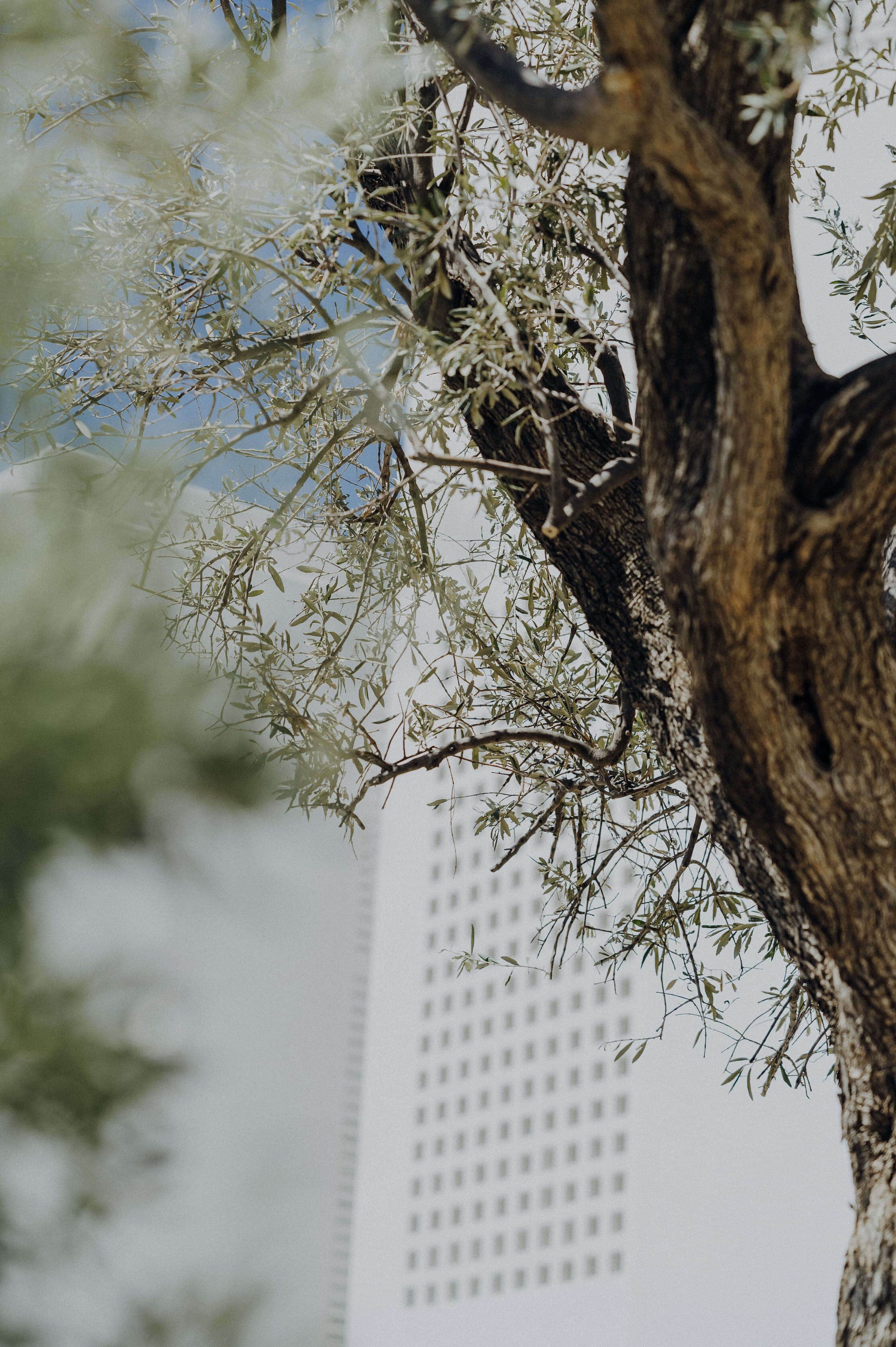 TERRA is a project born from the essence of us all.