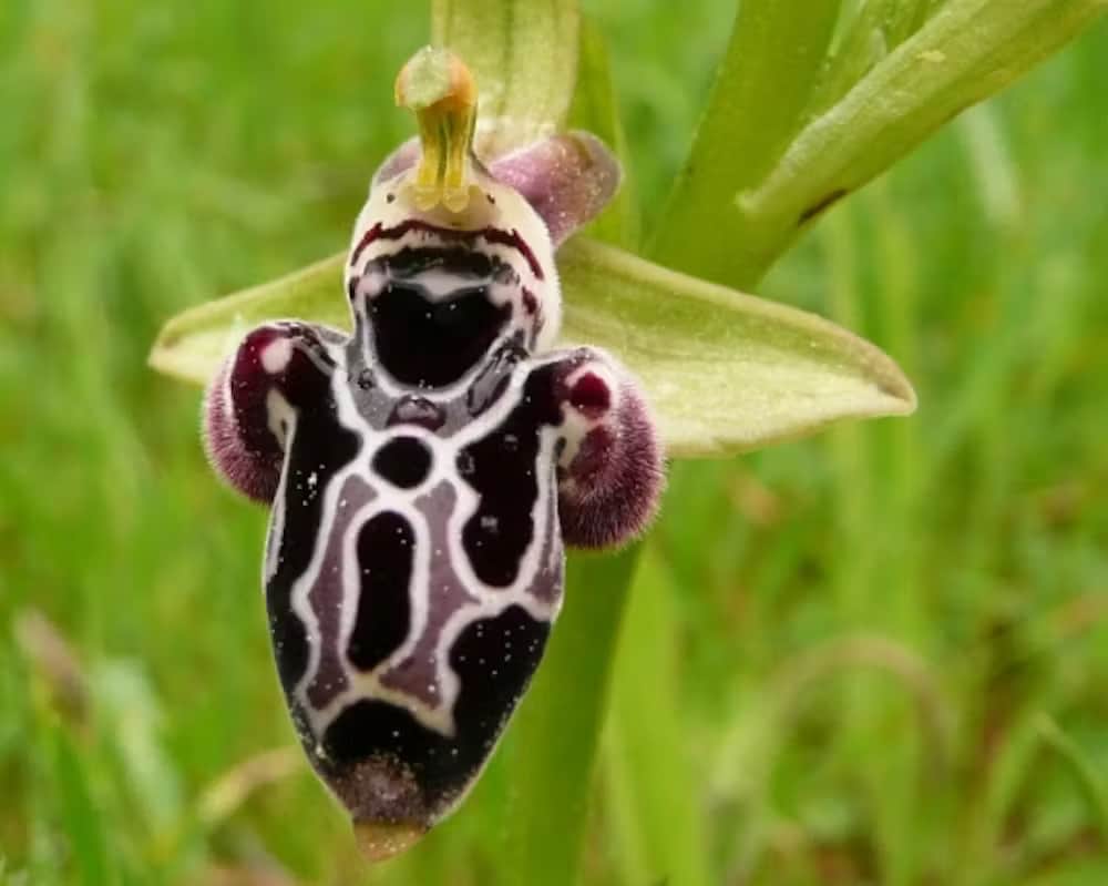 Kıbrıs Developments Kıbrıs Developments