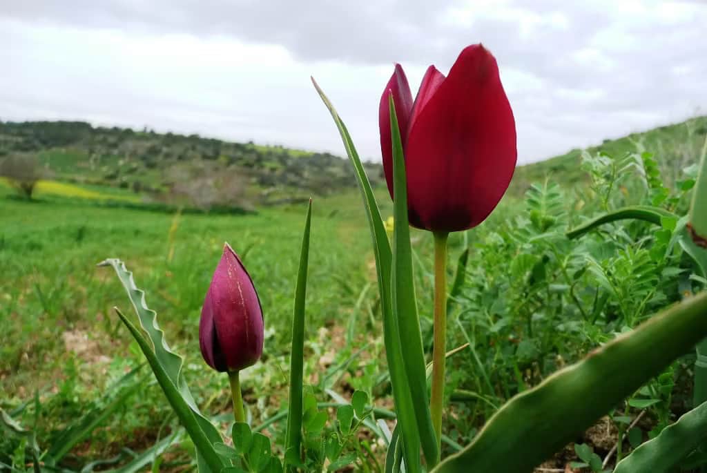about-us banner about-us banner